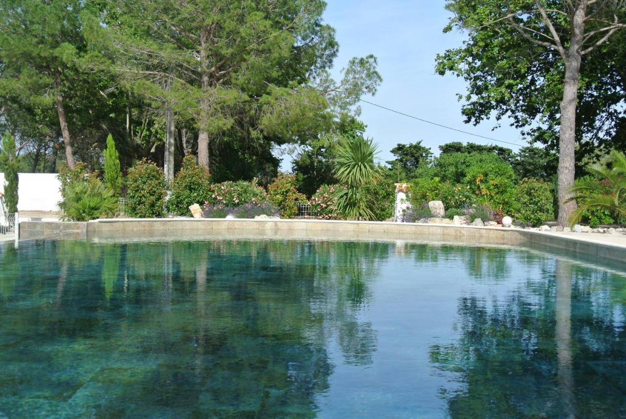 Grand Tamaris Bed & Breakfast Arles Bagian luar foto